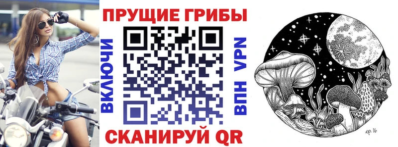 Псилоцибиновые грибы Psilocybine cubensis  купить наркотики цена  Суровикино 